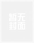 傲梅分区助手绿色版破解版